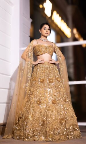The Aurelia 3D Lehenga Set